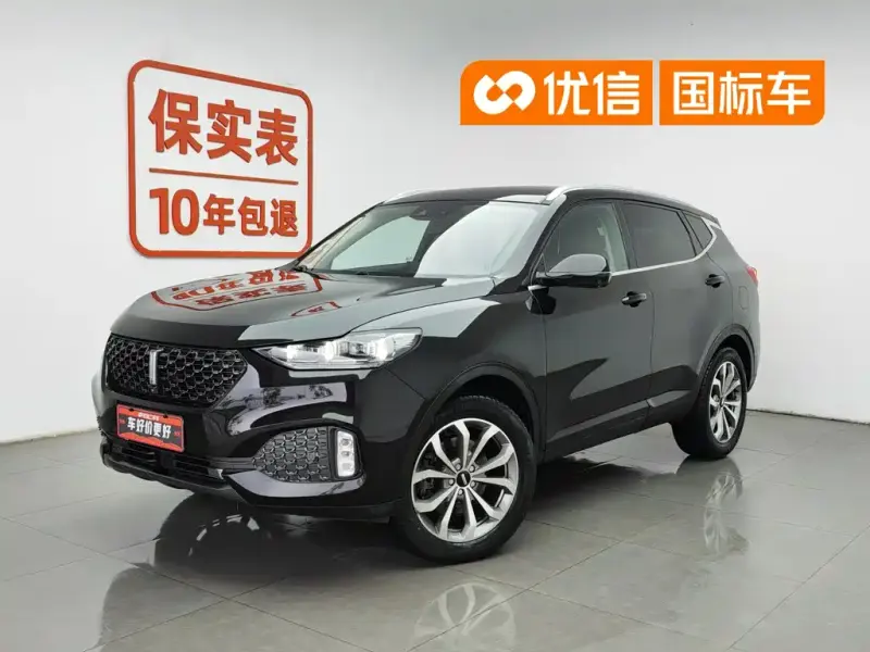 Wey VV6, 2019