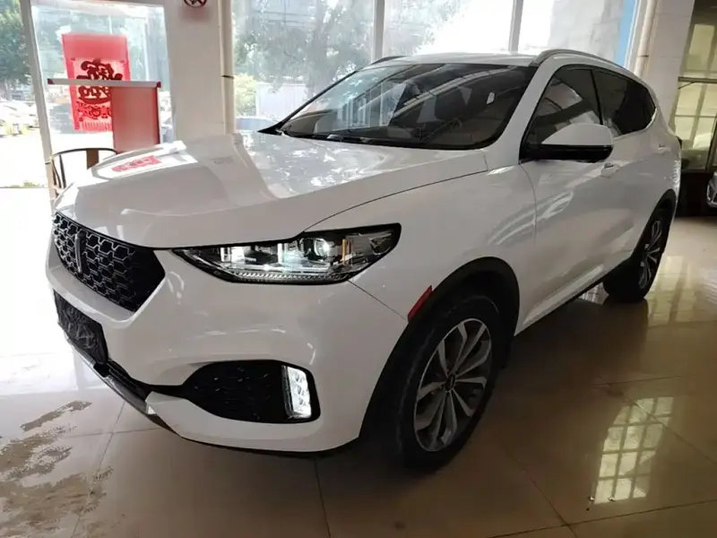 Wey VV6, 2019