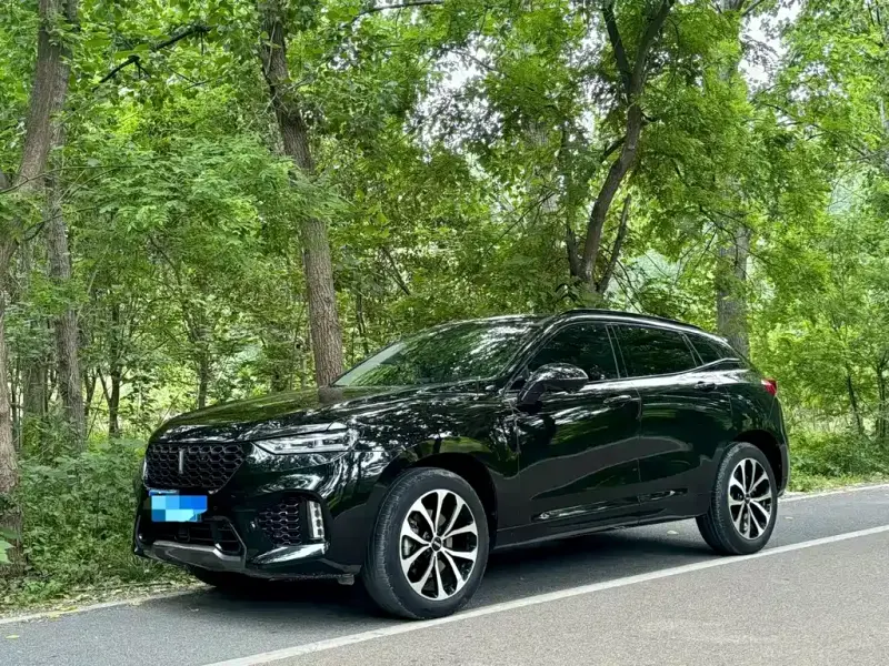 Wey VV7, 2019
