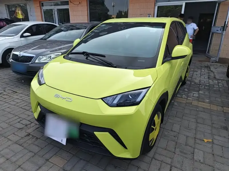 BYD Seagull, 2023
