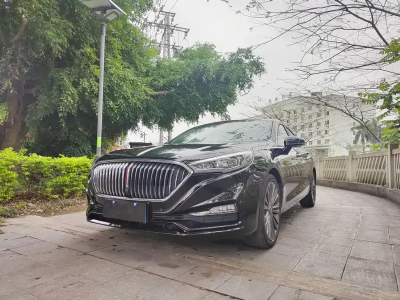 Hongqi H5, 2020