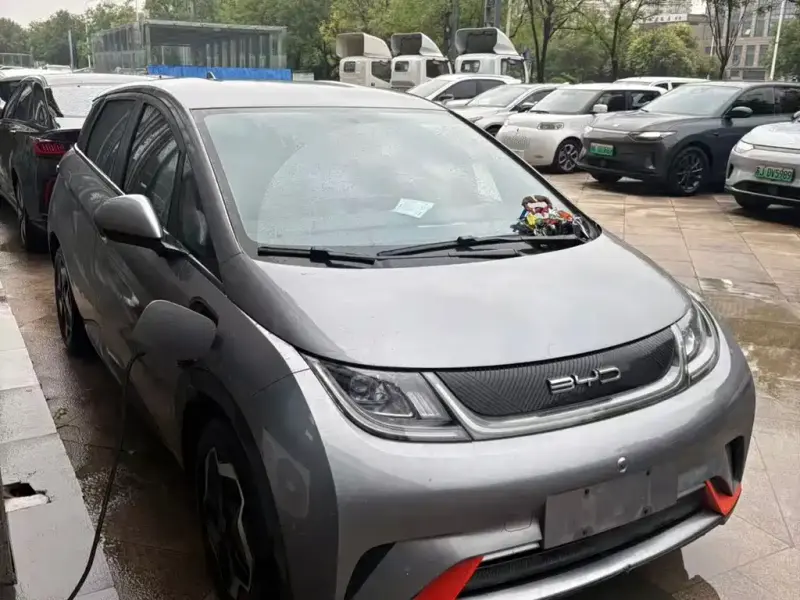BYD Dolphin, 2023