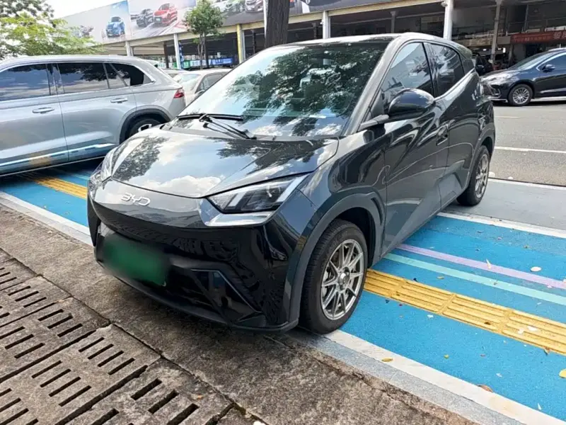 BYD Seagull, 2024