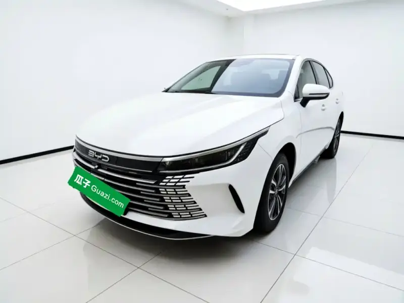 BYD Destroyer 05, 2024