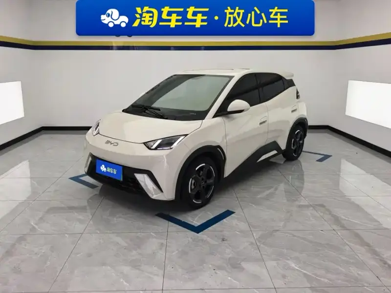 BYD Seagull, 2024