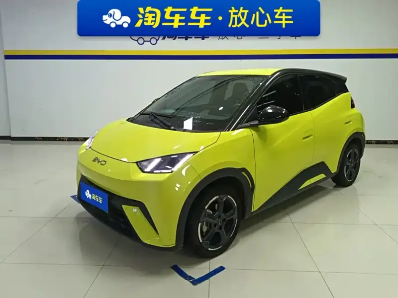 BYD Seagull, 2024