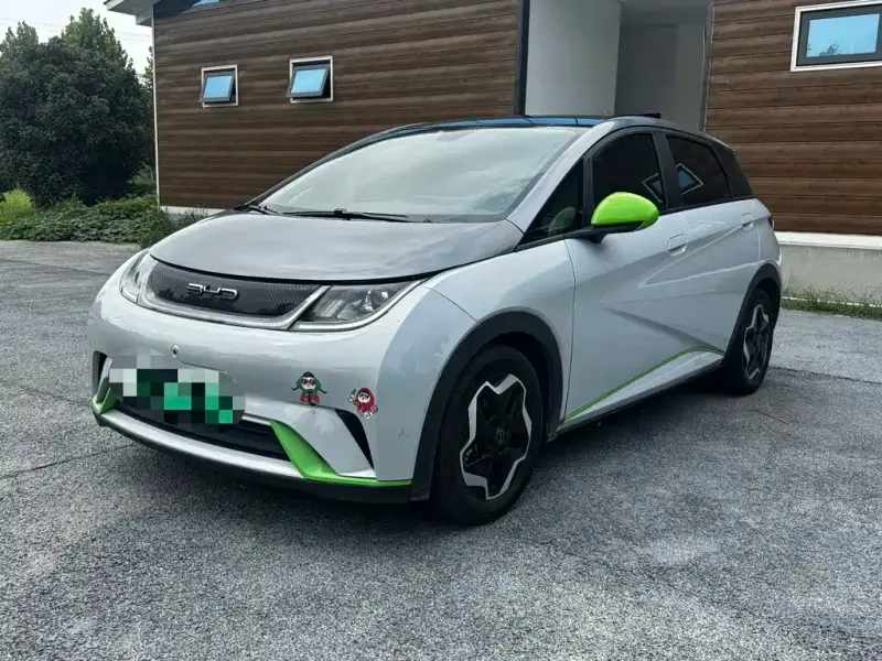 BYD Dolphin, 2021