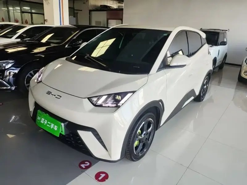 BYD Seagull, 2024