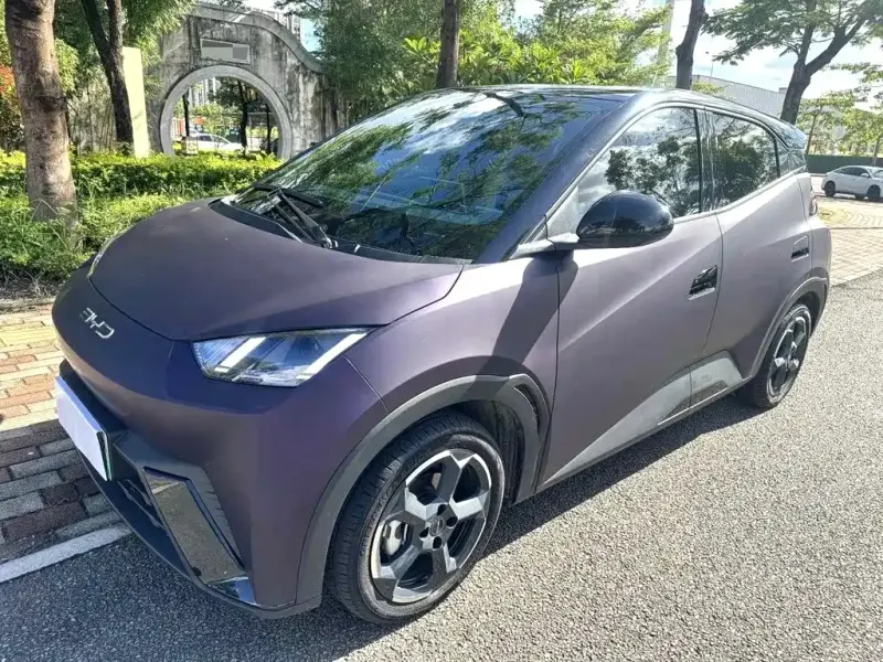 BYD Seagull, 2024