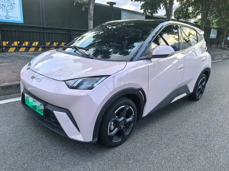 BYD Seagull, 2024