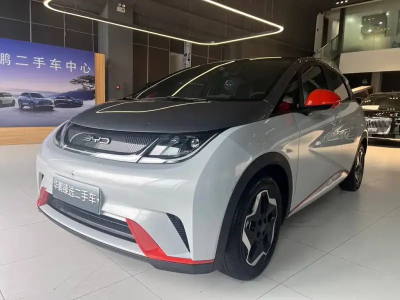 BYD Dolphin, 2021