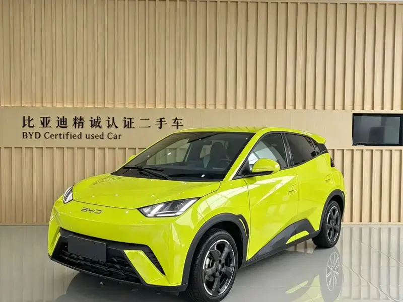 BYD Seagull, 2023