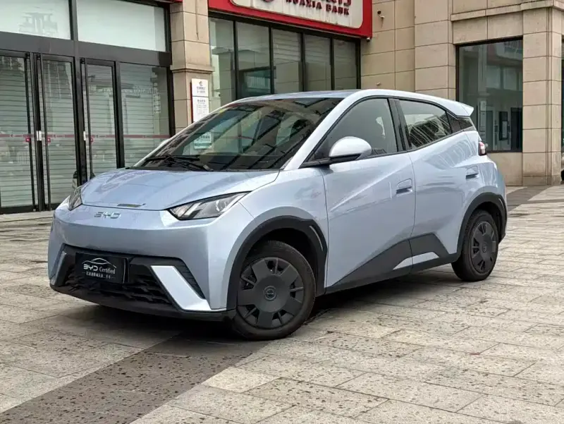 BYD Seagull, 2024