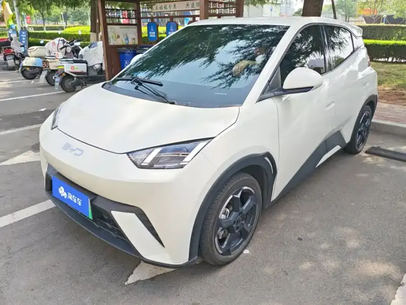 BYD Seagull, 2024