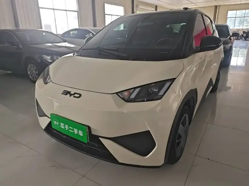 BYD Seagull, 2025
