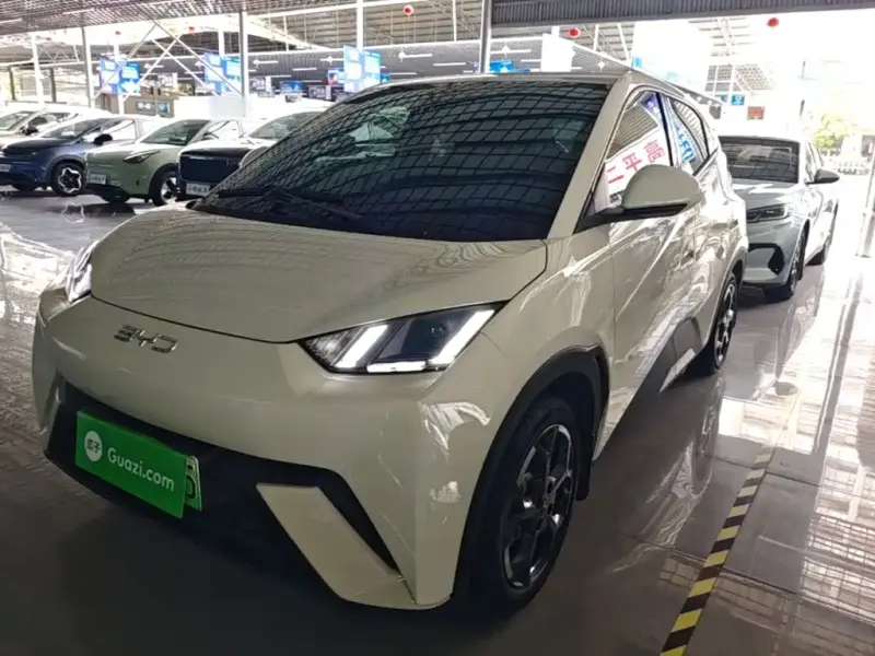 BYD Seagull, 2024