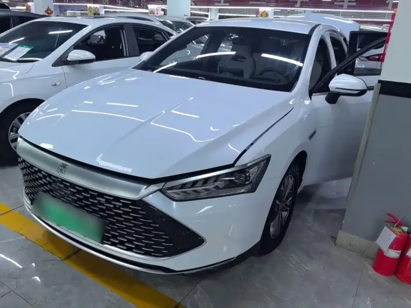 BYD Qin PLUS, 2024