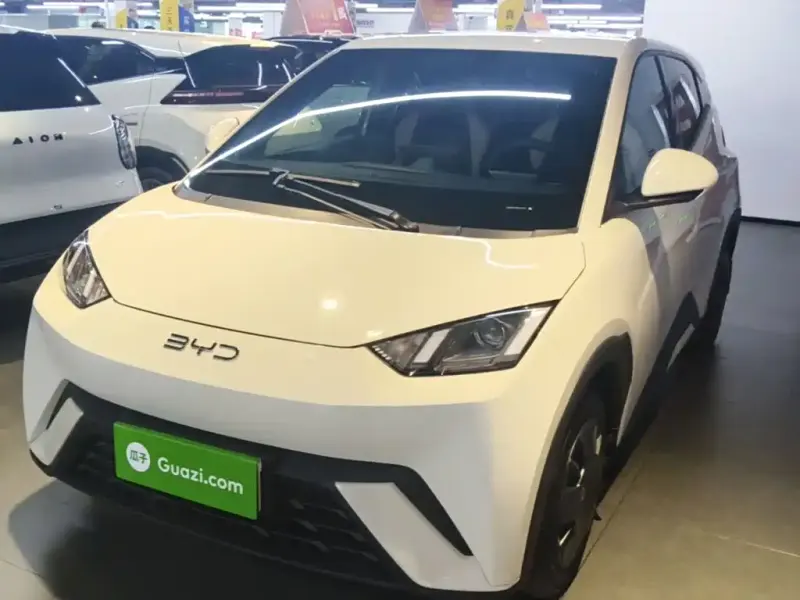 BYD Seagull, 2024