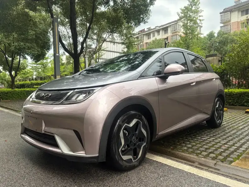 BYD Dolphin, 2021