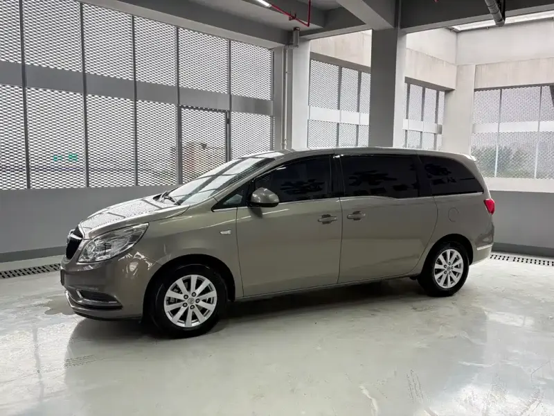 Buick GL8, 2019