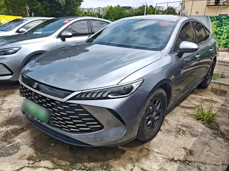 BYD Qin PLUS, 2025