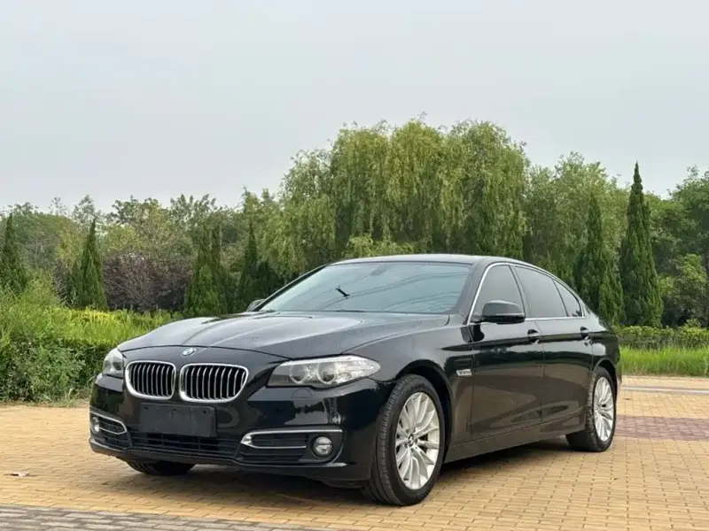 BMW 5 Series, 2015 — фото 1