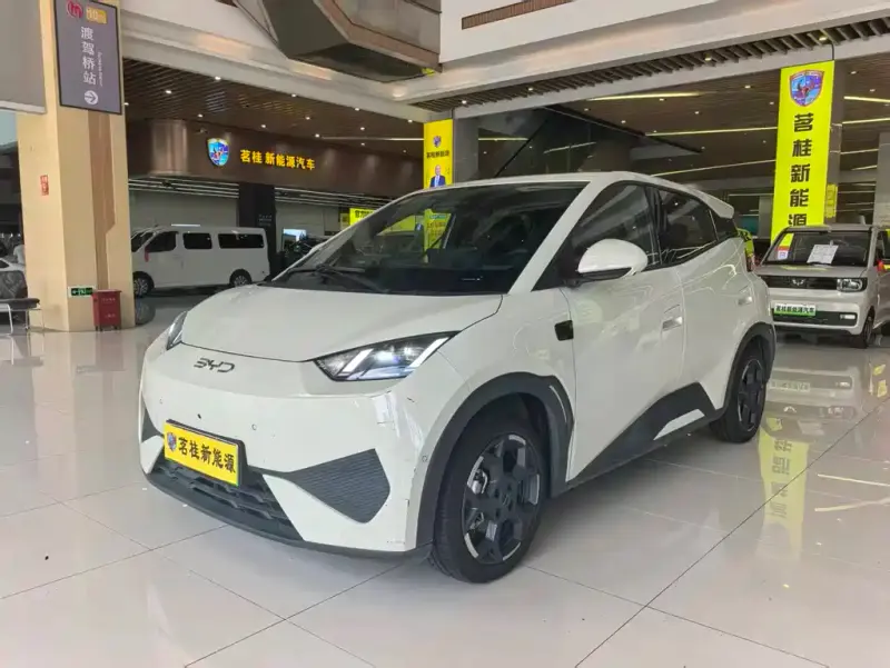 BYD Seagull, 2025