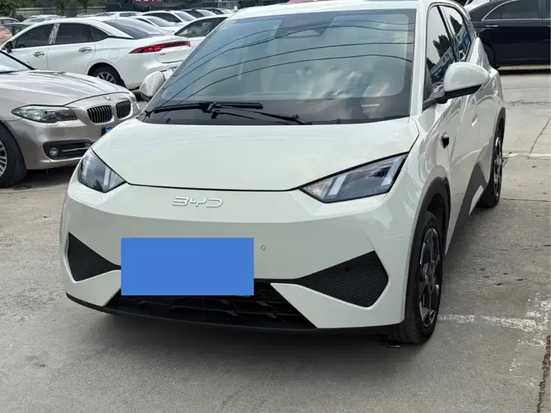 BYD Seagull, 2025