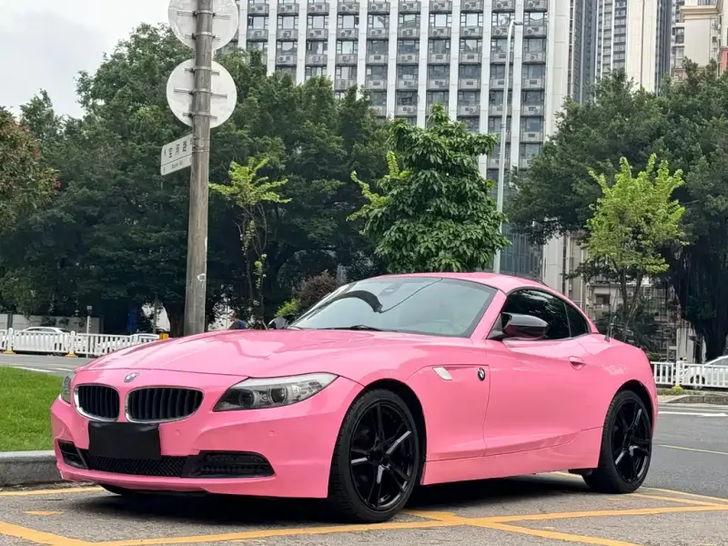 BMW Z4, 2010