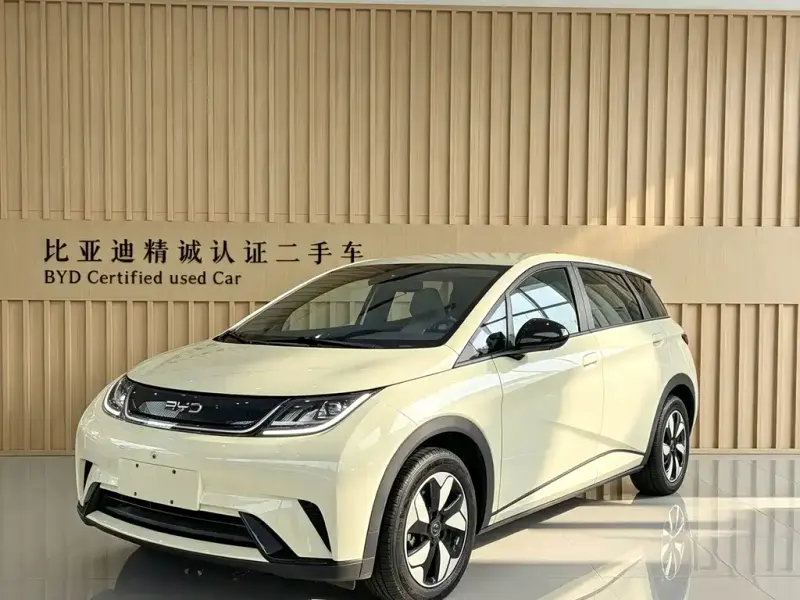 BYD Dolphin, 2024