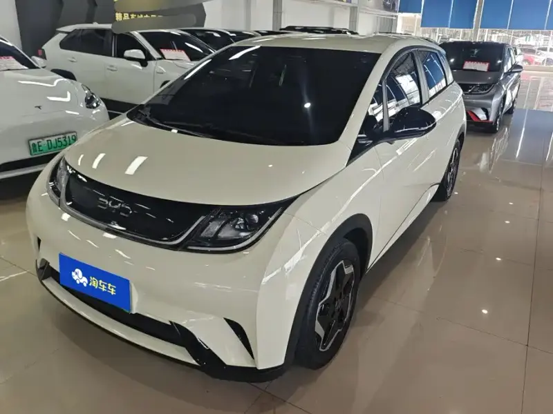 BYD Dolphin, 2024