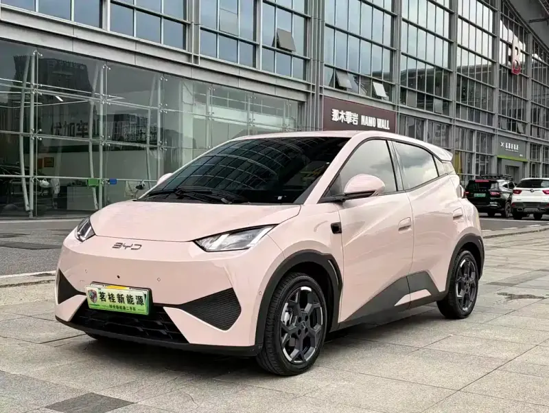 BYD Seagull, 2025