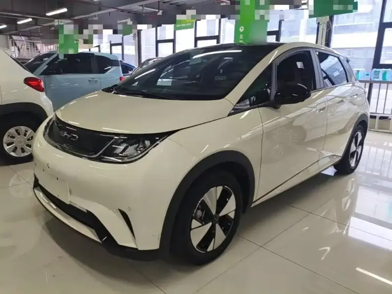BYD Dolphin, 2023