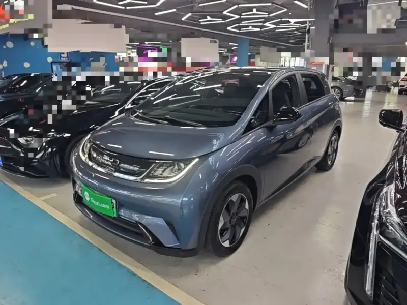 BYD Dolphin, 2024