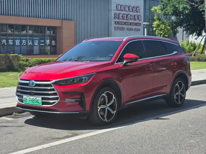 BYD Tang New Energy, 2021