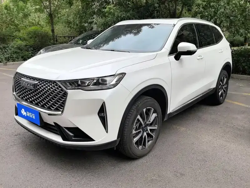 Haval H6, 2025