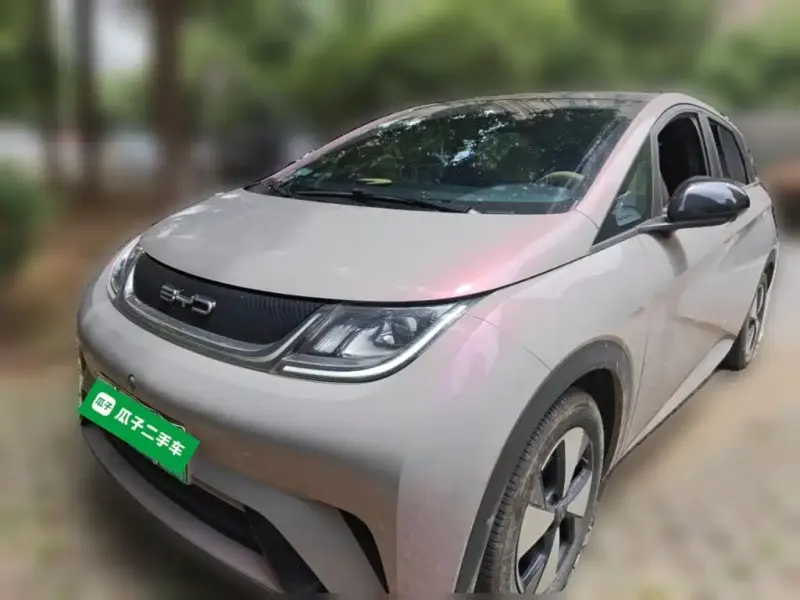 BYD Dolphin, 2024