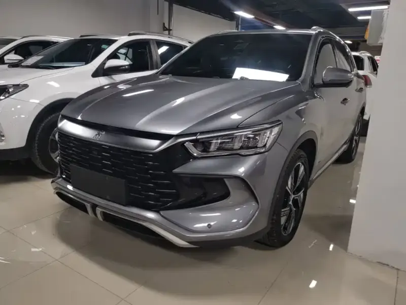 BYD Pro New Energy, 2023