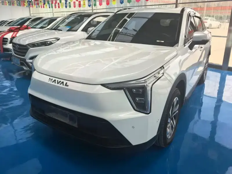 Haval Xiaolong, 2024