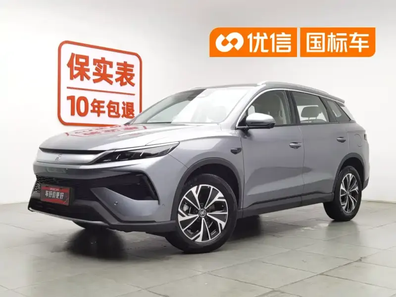 BYD Pro New Energy, 2025