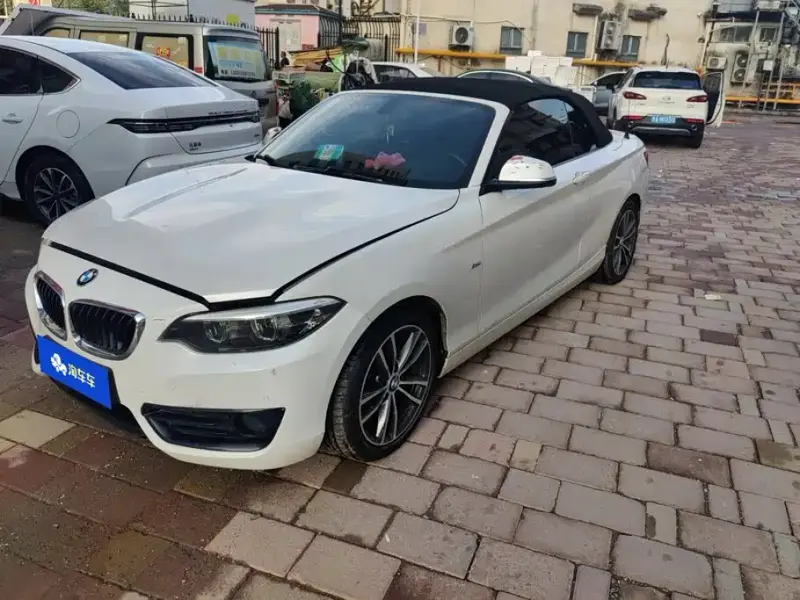 BMW 2 Series (Import), 2018