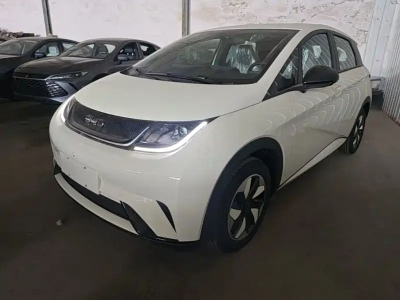 BYD Dolphin, 2026