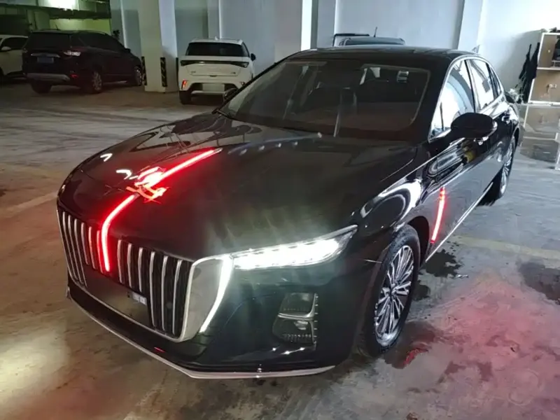 Hongqi H5, 2024