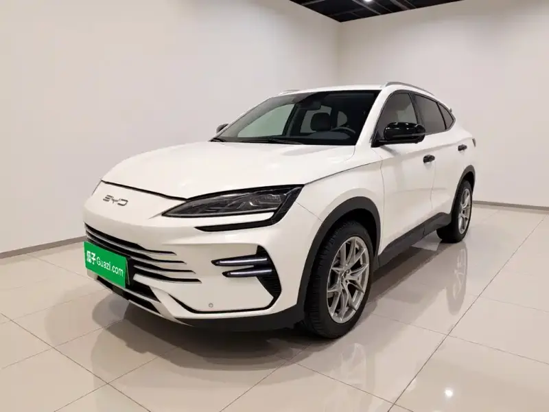 BYD PLUS New Energy, 2024