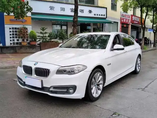BMW 5 Series, 2016 — фото 1