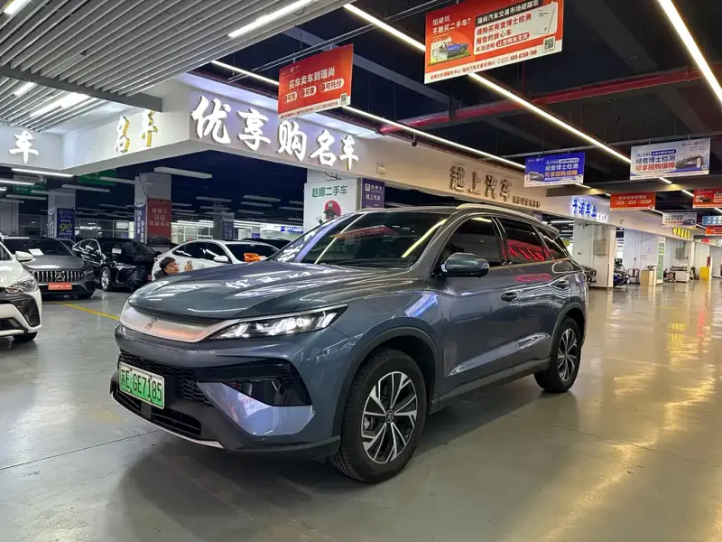 BYD Pro New Energy, 2026