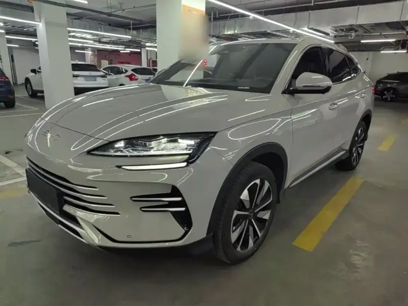 BYD PLUS New Energy, 2024