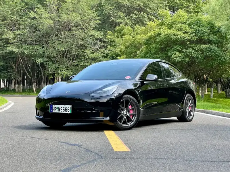 Tesla Model 3, 2021
