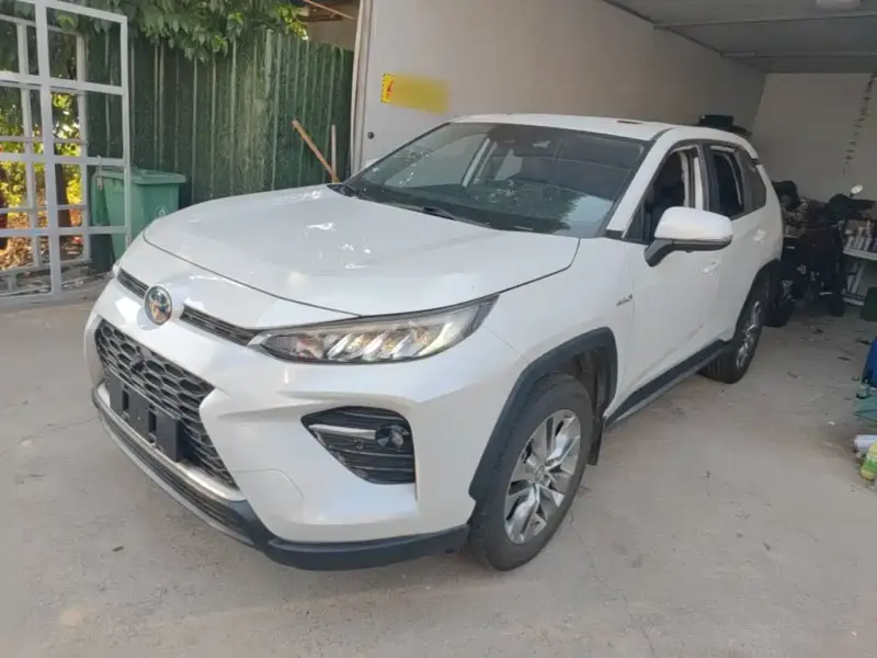 Toyota Wildlander, 2021