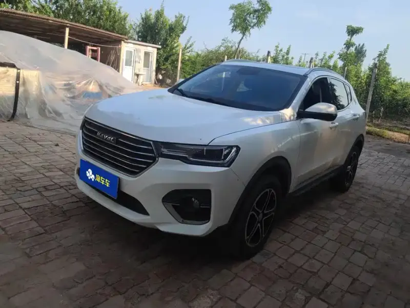 Haval H4, 2020